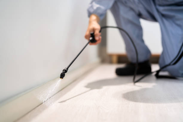 Licensed Mosquito Control service in Crete, IL - Show Me Pest Control