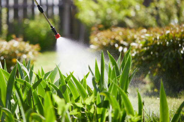 24/7 Emergency Mosquito Control experts in Crete, IL