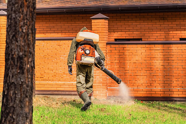 Top rated local Mosquito Control specialists in Crete, IL